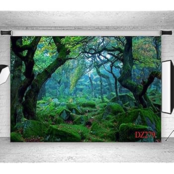Amazon.com : LB Original Jungle Backdrop for Photography
