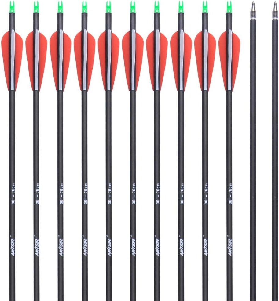 ANTSIR 30Inch Archery Carbon Arrow for Adult, Practice Hunting Arrow with Field Point-Adjustable Nock for Compound and Recurve Bow(Pack of 12) : Sports & Outdoors