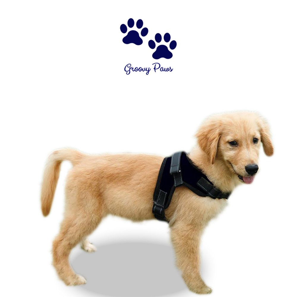 Groovypaws No Pull Dog Harness,Reflective Adjustable Dog Service Mesh Vest, Breathable soft front Padded Chest Strap,Puppy Walking Harness With Handle