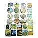 molshine Set of 8 (23FT/Roll) Washi Masking Tape,Adhesive Paper Craft Tape,Van Gogh Oil Painting Series Collection for Journal,DIY,Planners,Decoration,Scrapbook,Gift Packaging