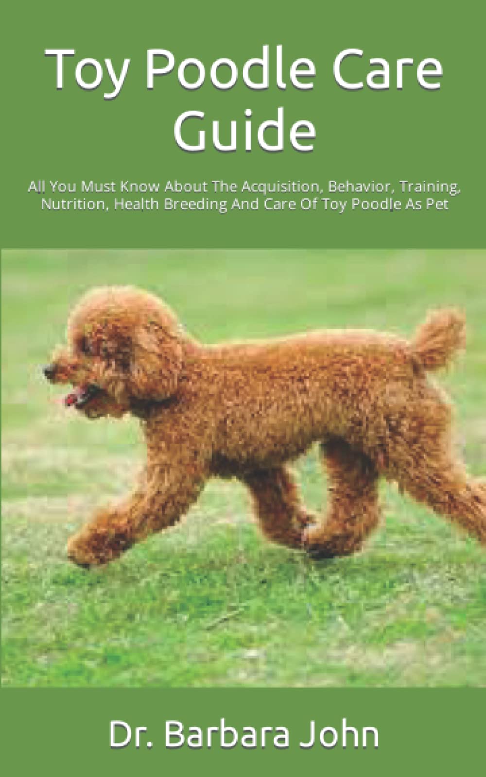 large toy poodle