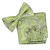 EBC1B13 Excellent Paisley Silk Pre-tied Bow Tie Cufflinks Hanky Set By Epoint