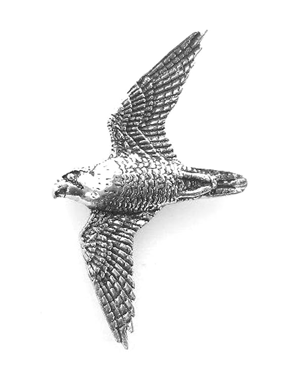 Amazoncom Fine Pewter Peregrine Falcon Bird Pin Badge