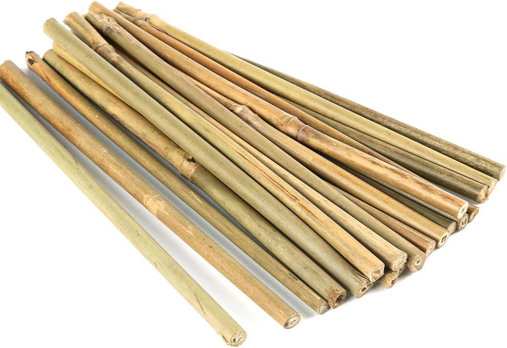 Pllieay 20 Pieces 0.66’/8 inch Natural Thick Bamboo Stakes Garden Stakes for Indoor Gardening Plant Supports