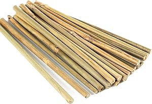 Pllieay 20 Pieces 0.66’/8 inch Natural Thick Bamboo Stakes Garden Stakes for Indoor Gardening Plant Supports