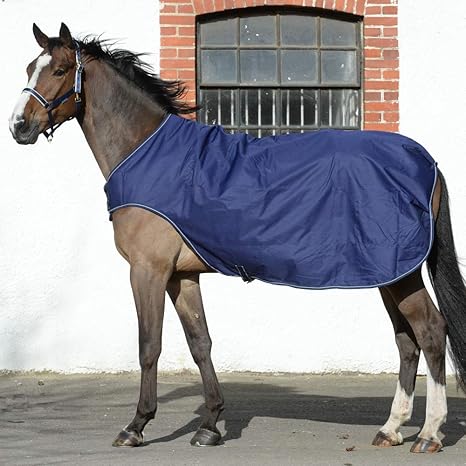 Bucas Walker Rug 50g - Navy/Silver / Ausreit-Nierendecke