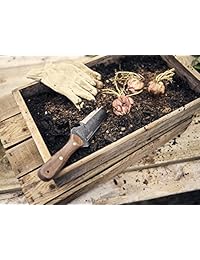 Barebones Living Classic Hori Hori por, Nogal