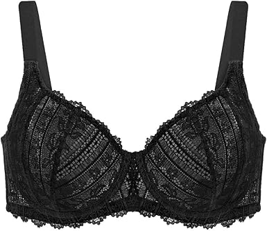sheer underwire bra plus size