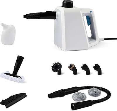 Nettoyeur à Vapeur Portatif pour la Maison avec 9 Accessoires, Puissant Jet de Vapeur de 1 000W, Réservoir de 250ml, Blanc