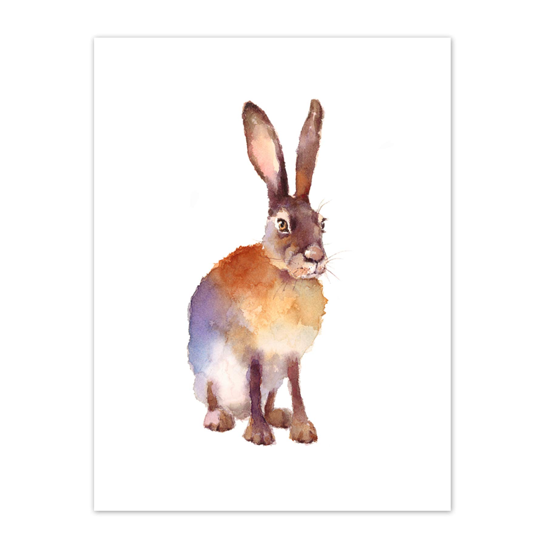 Wee Blue Coo Hare Watercolour Isolated Art Print Canvas Premium Wall Decor Poster