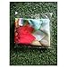 HUGS IDEA Cool 3D Animals Dinosaur Luggage Trolley Case Protective Cover for 18/20/22 Inch Suitcase