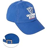 Desert Cactus Georgia State University Baseball Hat Panthers GSU Brimmed Embroidered Hats Cap Adjustable Cloth Strap Adult (Style C) Blue