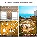 Globe String Lights, 13 feet 30 LEDs IP44 Waterproof Outdoor Solar Powered LED Fairy String Lights, Warm White