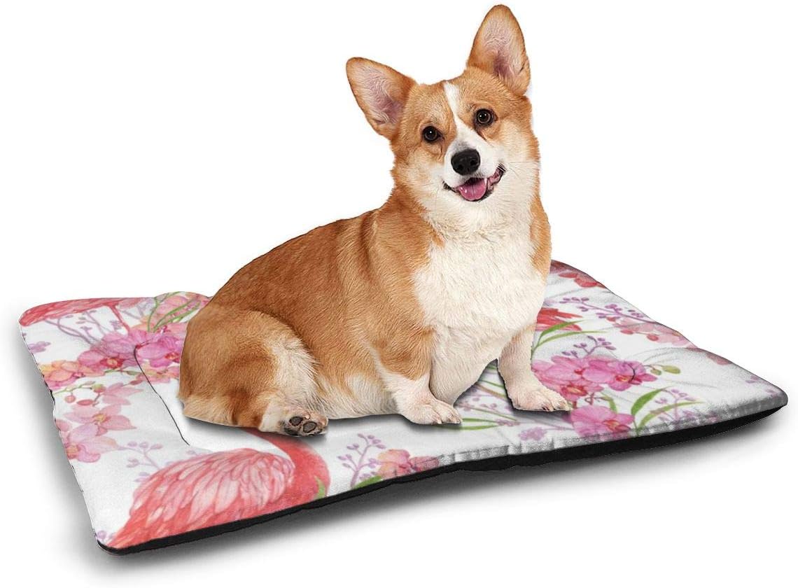 pink flamingo dog bed