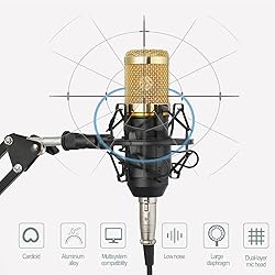Podcast Equipment Bundle, BM-800 Mic Kit with Live
