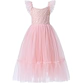 Girl A-Line Straight Tulle Tutu Dress Tie Back Summer Sleeveless Lace Flower Girl Dress for Birthday Party