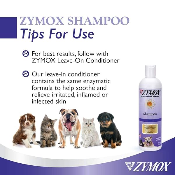 PET KING BRANDS ZYMOX SHAMPOO FOR DOGS AND CATS, 12OZ