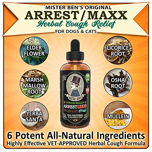 MISTER BEN'S Original Kennel Cough Relief Arrest/MAXX Herbal Cough