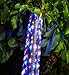 Solar Rope Lights,Oak Leaf 41ft Waterproof 100 LED Outdoor String Lights with PVC Tube Cover,Black,Yellow, Green,Blue and Purple