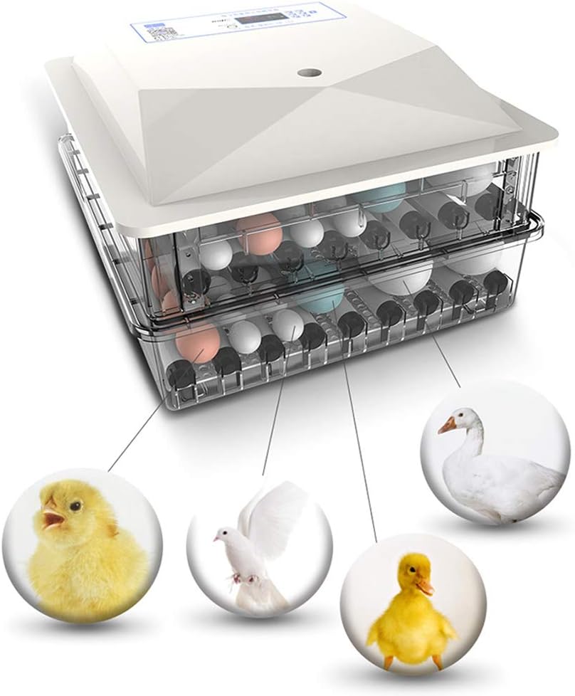 AQAWAS Egg Incubator with Humidity Control, Poultry Hatcher Easy to Observe, Air Incubator Egg Turning with Automatic, Hatch Quail Cockatiel Turkey Parakeet & Other,White_98 Eggs