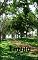 Livro Tonho