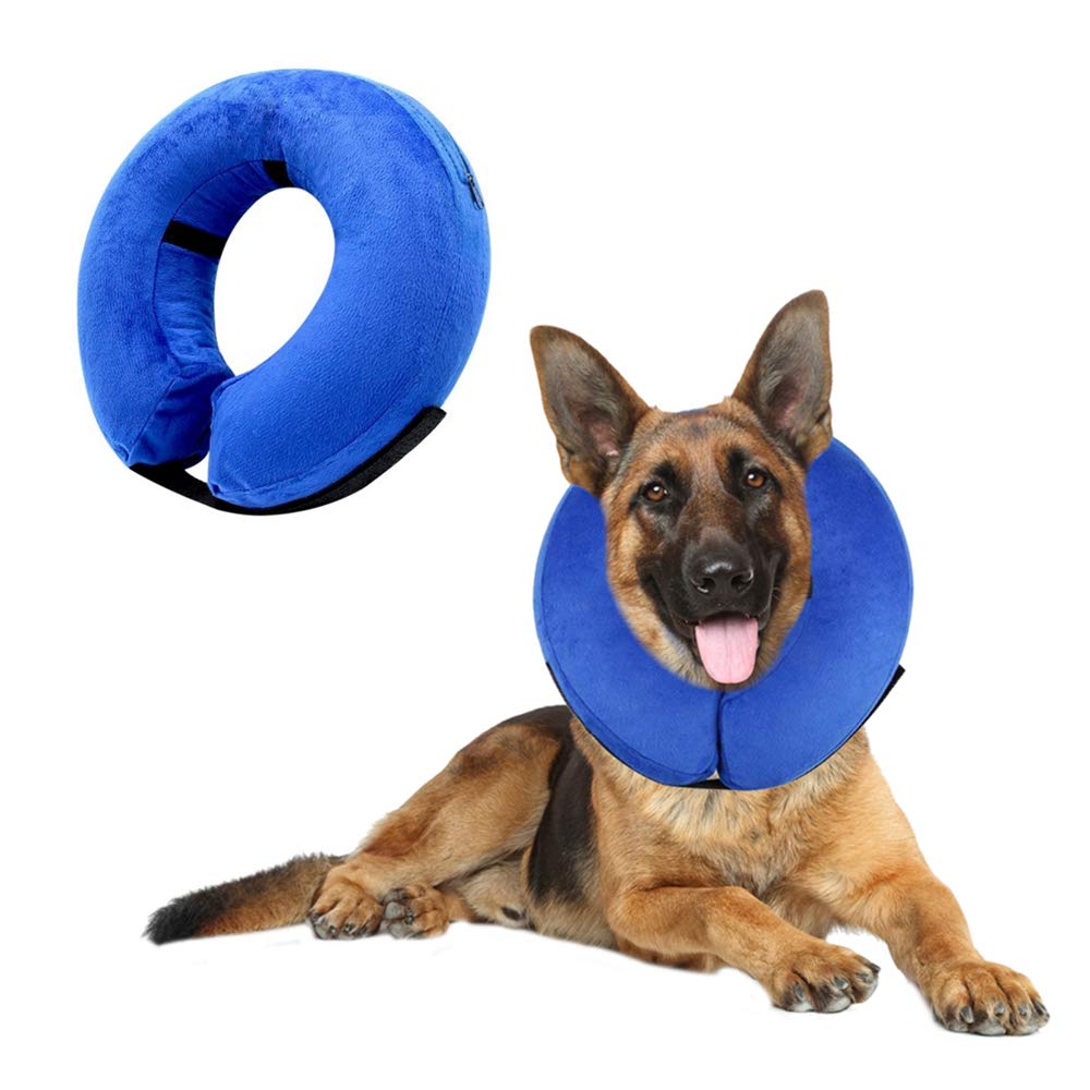 soft cone for dogs