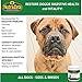 Premium Probiotics for Dogs - 90 Soft Chews - for Immune System Boost & Relief of Diarrhea, Gas, Bad Breath, Yeast, Skin Itching + 6 Natural Digestive Enzymes for Improved Digestion. Made USA