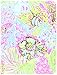 2017 Lilly Pulitzer 12 Month Agenda, Lovers Coral