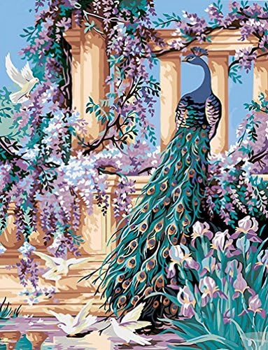 MailingArt Paint By Numbers Kits For Adults Kids With Wooden Frame - Peacock and Pigeon