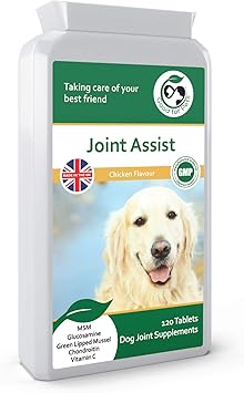 joint care for older dogs