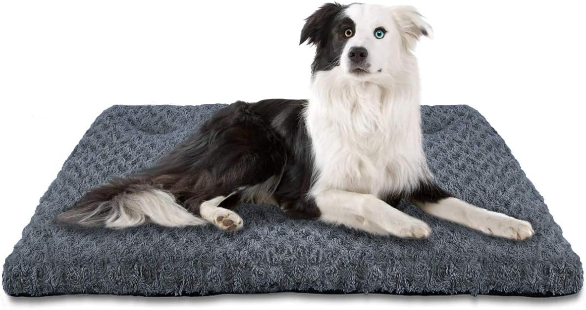 rabbits care and feeding