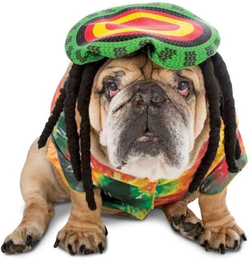 akc herding regulations