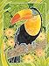 Ravensburger Aquarelle Exotic Birds Arts and Crafts Kit