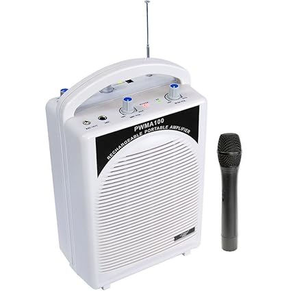 portable mic and speaker system