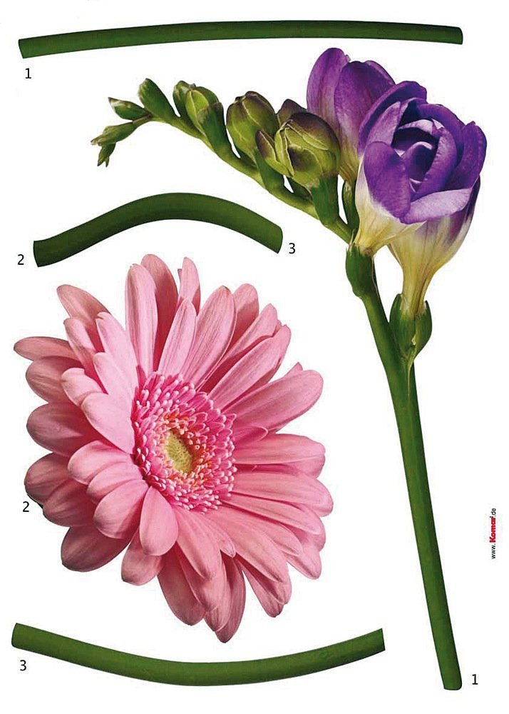 Komar Decorative Sticker Fiore | 50 x 70 cm | Wall Sticker, Wall Sticker, Wall Sticker, Wall Sticker, Flowers, Nature, Gerbera, Freesia | 18887h