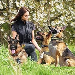 FunniPets Dog Training Collar 2600ft Range - Dog