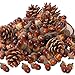 Ageomet 160pcs Artificial Acorns and Pinecones Set Hanging Ornaments for Christmas Décor