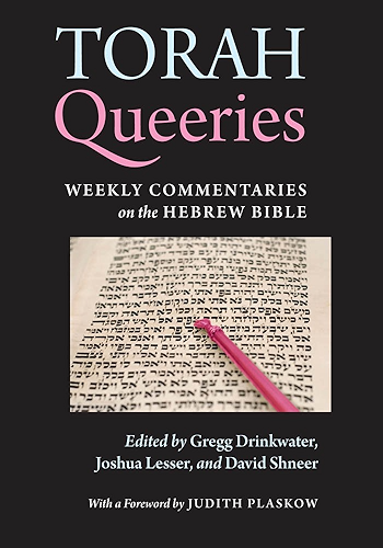 Download Torah Queeries: Weekly Commentaries on the Hebrew Bible (English Edition) PDF