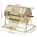 Topeakmart 11 Inch x 8 Inch Raffle Ticket Drum Brass Plated Casino Spinning Bingo Drum