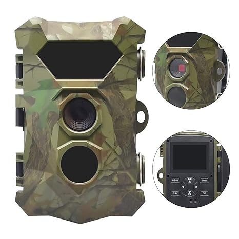 ZY Cámara Cámara Trail Cameras1080p De La Fauna con Visión ...