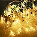 WAYNEWON LED Wine Bottles Lights, Battery Operated String Lights with Remote Control – Best Wedding Party Home Christmas Decorations (Warm White Glow)