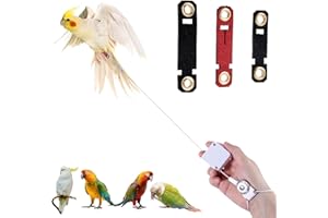 Retractable Bird Leash, 6.56ft Bird Harness with 3 Sizes of Foot Rings Parakeet Flying Ankle Harness Parrot Leg Leash Outdoor