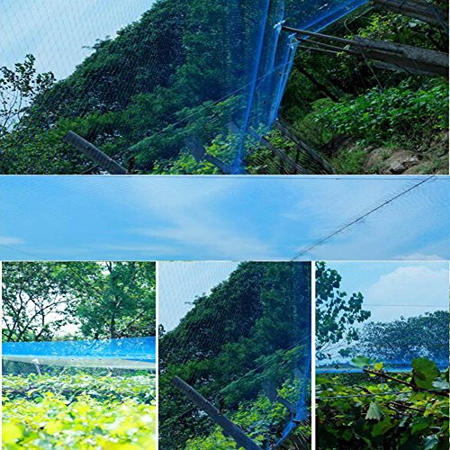 Anti Bird Protection Net with 100Pcs Nylon Cable Ties - 13Ft x 33Ft Green Bird Netting Protection for Plant - Thumbnail 2