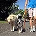 YITE Dog Poop Bags，Dog Waste Bags Doggy Bags 8 Rolls/120 Bags Pet Poop Bag Dag poop waste doggy Pets Includes Dispenser (green) (chery)