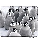 NICOKEE Penguin Rectangle Gaming Mousepad Lovely Funny Penguins South Pole Mouse Pad Mouse Mat for Computer Desk Laptop Office 9.5 X 7.9 Inch Non-Slip Rubber