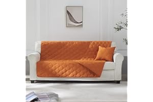 Allisandro Waterproof Pet Couch Protector, Dog Hair Resistant Couch Cover, Washable Slipcover Furniture Protector for Dogs, Leakproof Sofa Cover Protector for Kids, Pets (40x50 Inches,Orange)