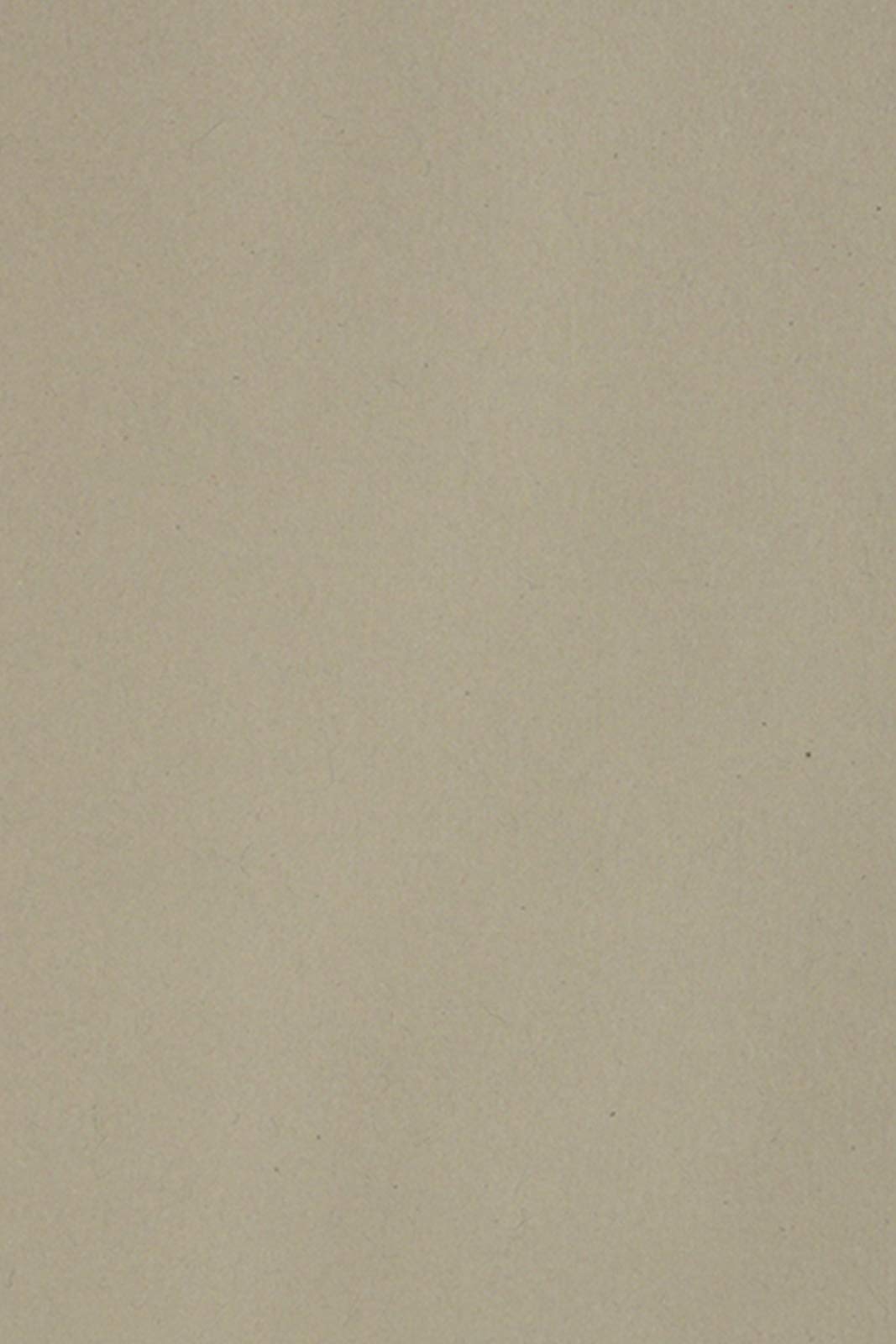 Netuno 20 Sheets of Grey Cardboard A4 210 x 297 mm 8.27 x 11.69 250 GSM Burano Pietra Double Sided Paper for Inkjet Laser Printing Scrapbooking Invitations Crafting Greeting Cards Business Flyers DIY