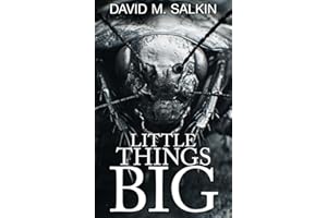 Little Things Big