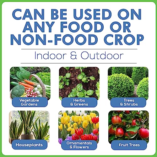 AgroMagen, GrowSafe BioPesticide, Organic Natural Miticide, Fungicide