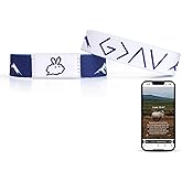 Christian Daily Bible Verse Bracelets: Scan Wearable Scripture Christian Bracelet for Men Women - Faith Prayer Gospel Wristbands Daily Bible Verse Bracelet God Jesus Wrist Band Religious Gifts for Men